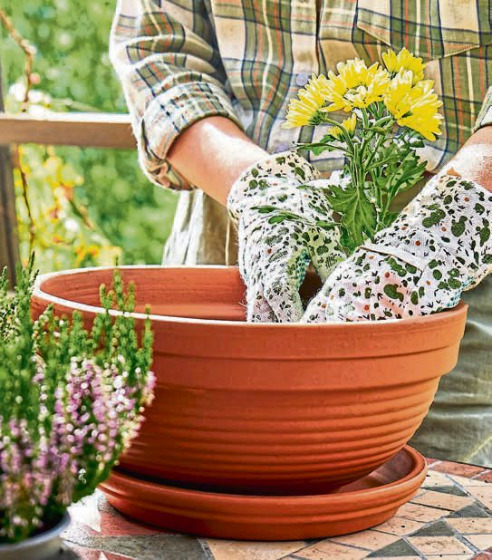 Bundesverband Einzelhandelsgärtner: Für interessante Kontraste sorgen