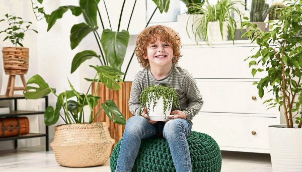 Grüne Oasen im Zuhause