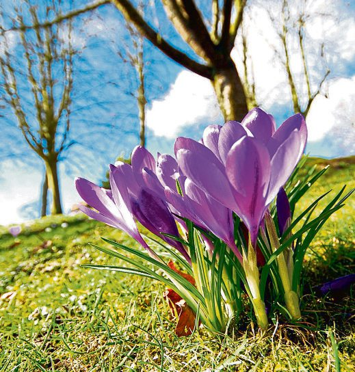 Der Frühling kommt!