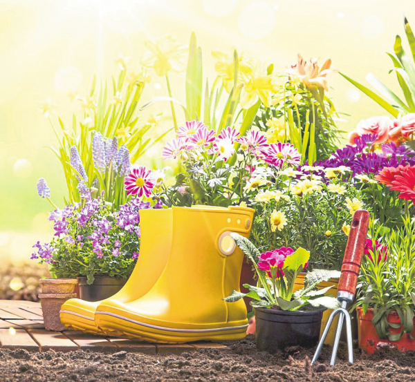 Bau- und Gartenmarkt: Frühlingserwachen im Koblenzer Hornbach-Markt