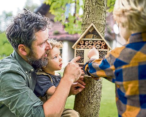Upcycling zaubert Leben in den Garten