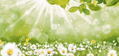 Entspannt den Frühling genießen