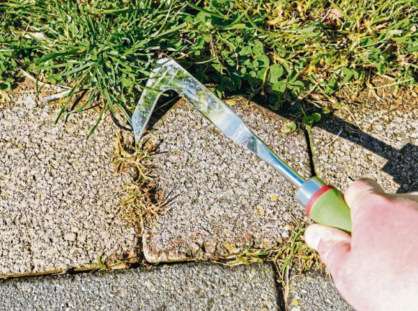 Willkommen Frühling