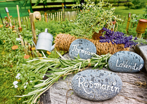 Frische Kräuter aus dem eigenen Garten