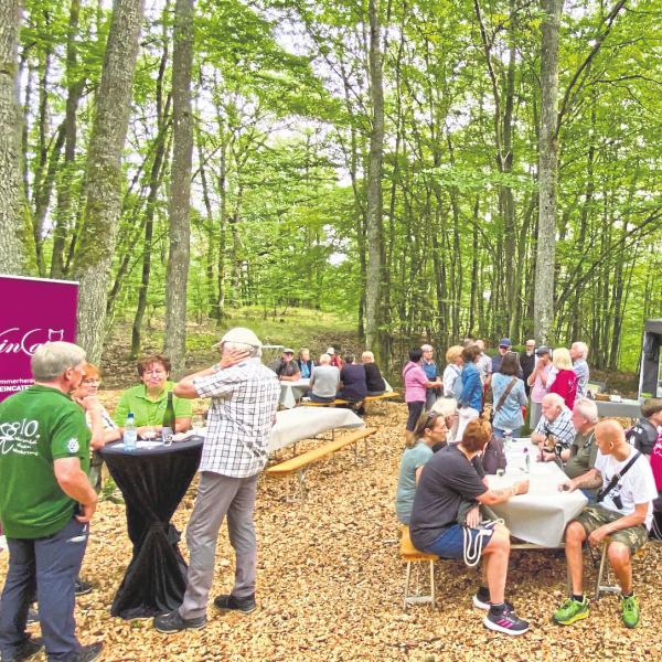 Genuss und Naturerlebnis in Hintertiefenbach