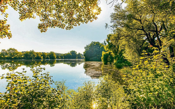 Selters im Westerwald: Mit Herz und Vision