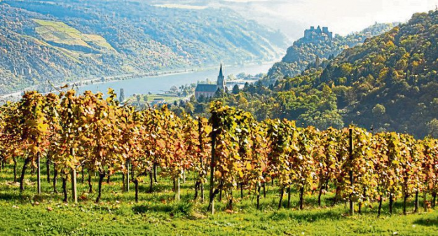 Erfolgsmodell für den ländlichen Raum Rhein-Hunsrück