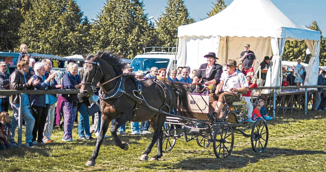 17. Veitsrodter Kutschentreffen