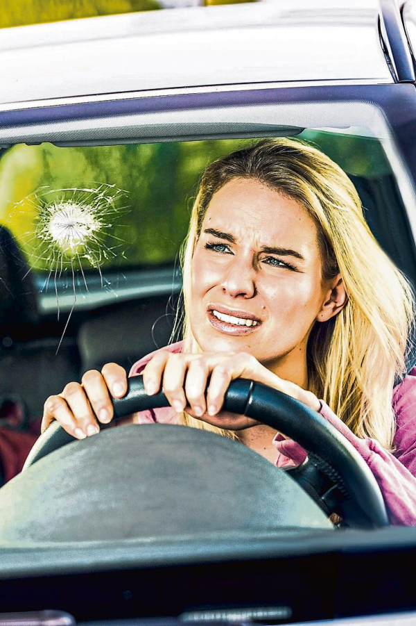 Voller Durchblick für Fahrer und Technik