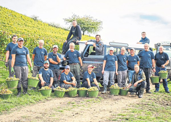 Bad Kreuznach-Bosenheim: Weingut Korrell lädt zur Jahrgangspräsentation ein