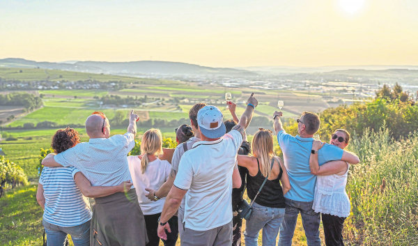 Weinwandern auf dem Bosenberg mit Genuss und Aussicht