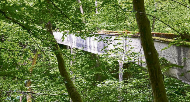 Historische Wasserbrücke bei Nistertal