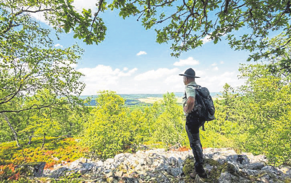 Hunsrück-Hochwald: Ein Jahrzehnt "Natur Natur sein lassen"