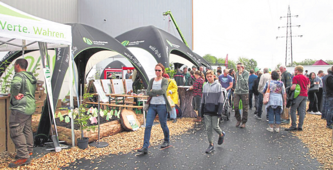 Holz hautnah erleben im Westerwald