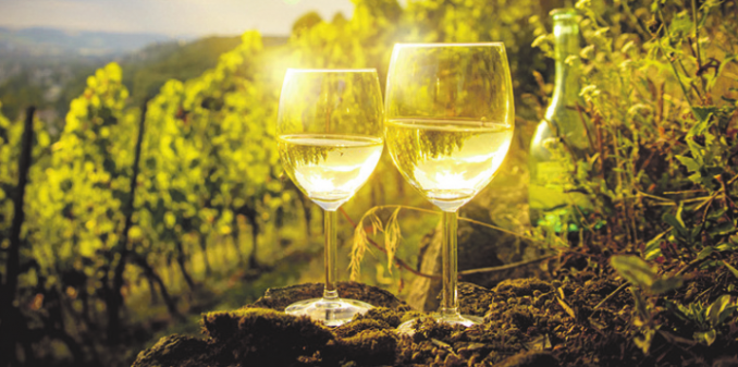 Weinwandern in Sommerloch: Weinfest und kulinarische Leckereien