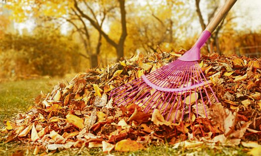 Herbst - Mehr Grün- Und Bioabfälle Zu Entsorgen
