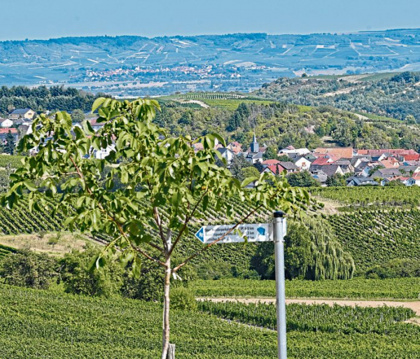 Geschichte in Szene gesetzt