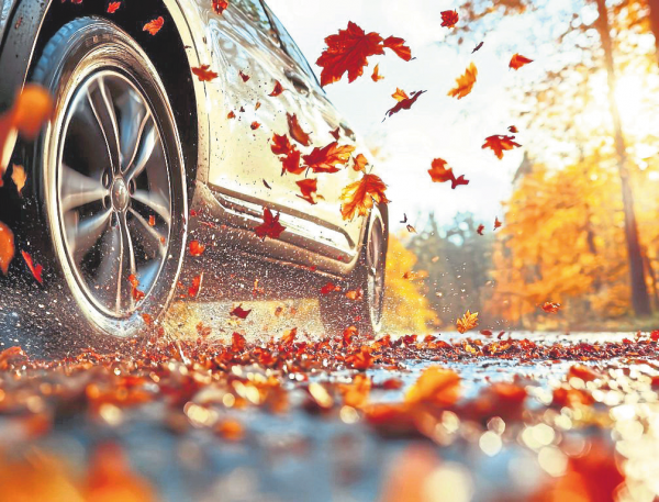 Sicher durch den Herbst