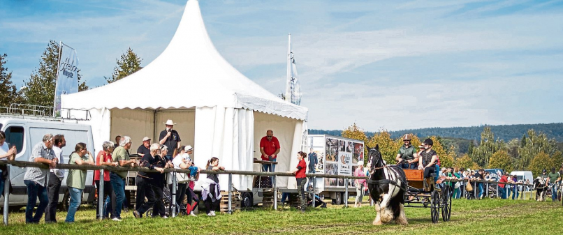 Ein Markt mit besonderem Flair
