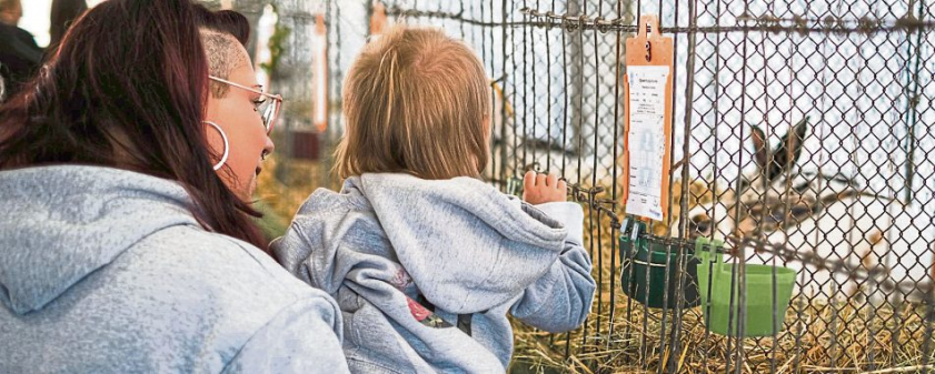 Nervenkitzel und tierische Begegnungen