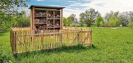 Mit Insekten auf Tuchfühlung gehen