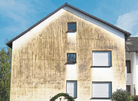 Maler & Lackierer Nisius in Idar-Oberstein