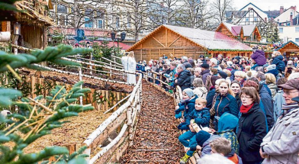 Weihnachtsdorf in Andernach: Im MiIttelpunkt die Lebende Krippe
