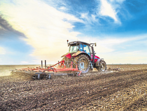 Mainz: Wissen teilen, Zukunft gestalten!