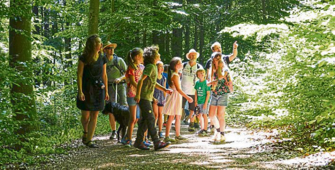 Veranstaltungen: Natur schützen und Landschaft erhalten