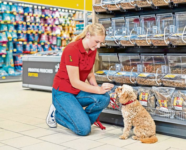 Zähneputzen ist wichtig - auch beim Hund