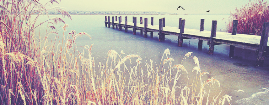 Winterschäden am Grab