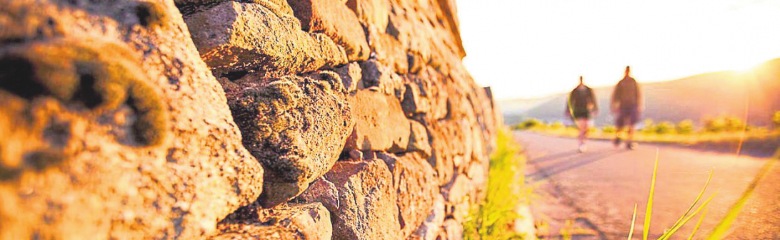 Höfewandern in Bosenheim: Genuss, Wein und Bewegung an der Nahe