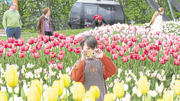 Der lange Weg zum schönsten Koblenzer Sommer aller Zeiten