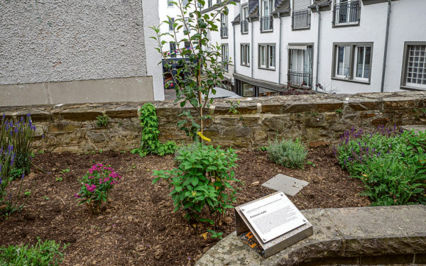 Zwei Apfelbäume mit Symbolcharakter