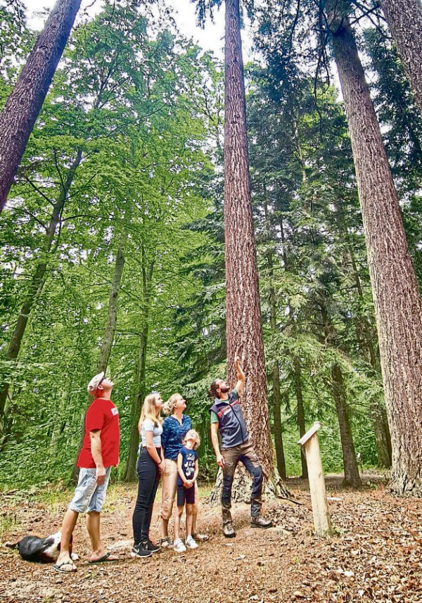 Wald und Wirtschaft hautnah erleben