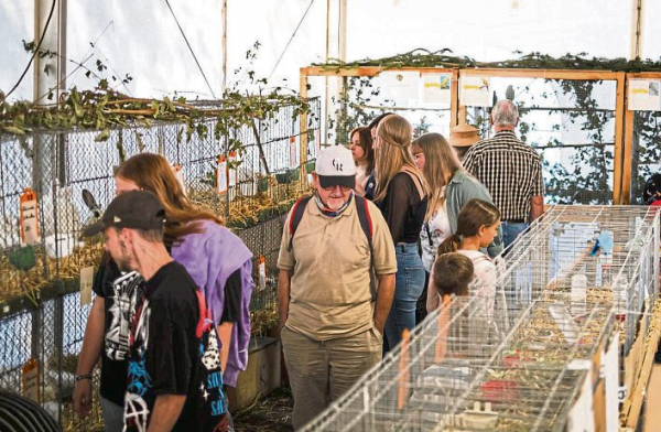 Kleintierschau beim Veitsrodter Herbstmarkt
