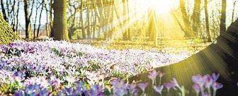 Licht!