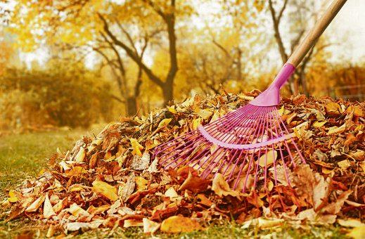 Herbst – Mehr Grün- und Bioabfälle zu entsorgen
