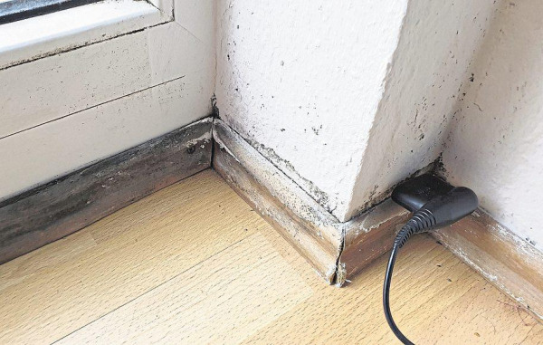Bauschäden im Fokus