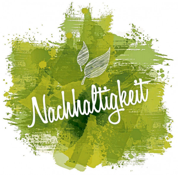 Nachhaltigkeit im Fokus des deutschen Handwerks