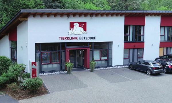 Die AG-Mitglieder stellen sich vor!