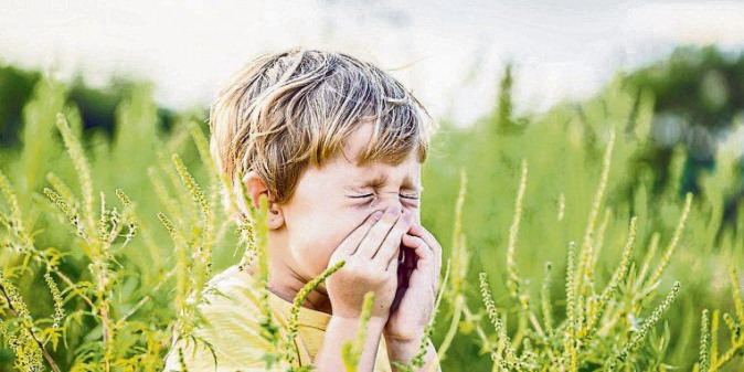 Das Immunsystem auf Abwegen