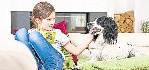 Gesunde Gelenke für Hund und Katze