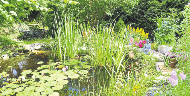 Rundumservice für Garten- und Landschaftsbau