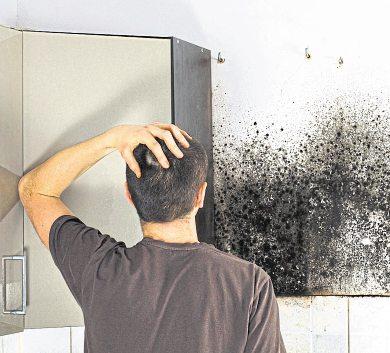 Gefährliche Feuchtigkeit hinter den Schränken