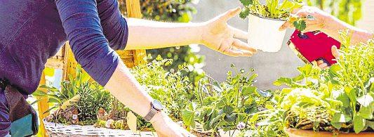 Gartenmarkt bringt Frühling nach Neuwied