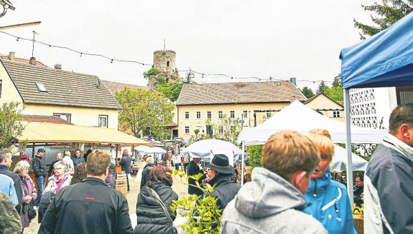 Rund um die Burg Layen – Von Hof zu Hof genießen