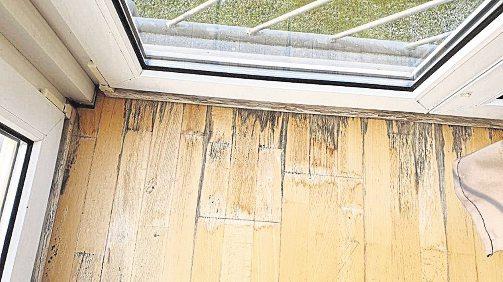 Bauschäden im Fokus