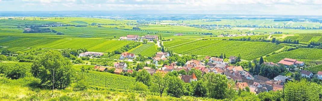 Eigentümer auf dem Land, Mieter in der Stadt