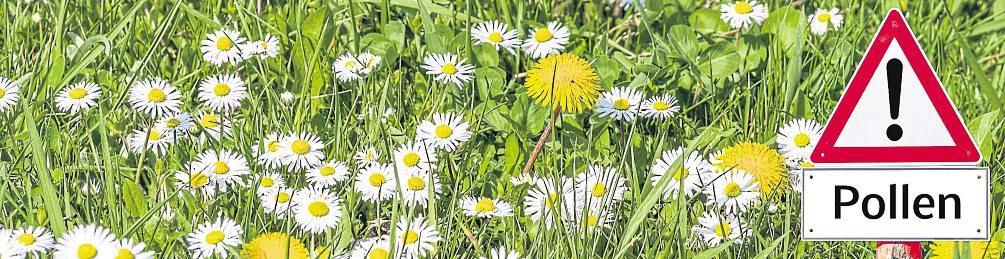 Frühlingszeit – Stresstest für Allergiker